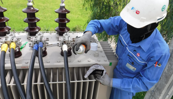 Electricity Services